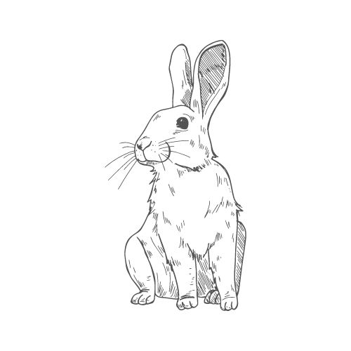 The Favourite Analyse